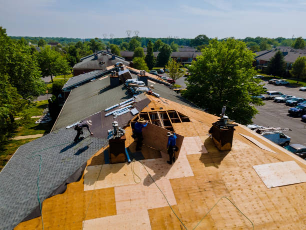 Best Storm Damage Roof Repair  in Thruston, KY
