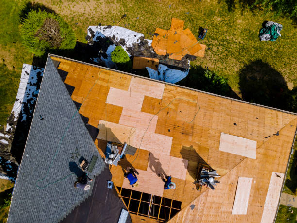 Best Roof Gutter Cleaning  in Thruston, KY