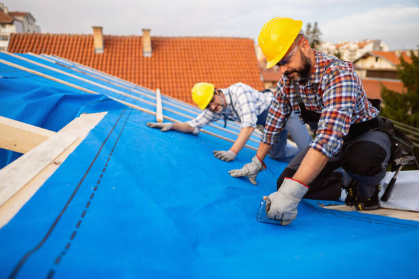 Professional Roofing Contractor in Thruston, KY