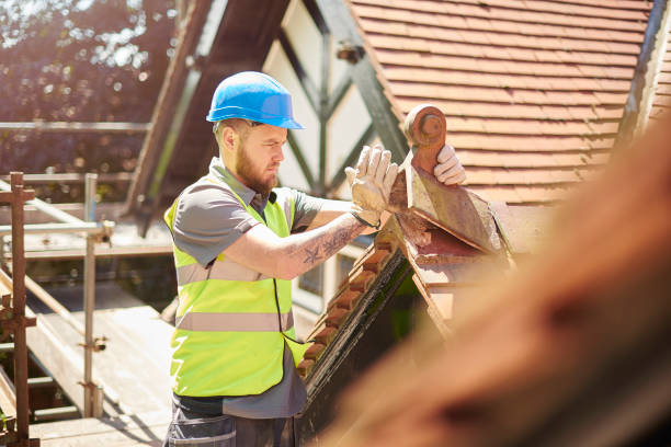 Roof Gutter Cleaning in Thruston, KY
